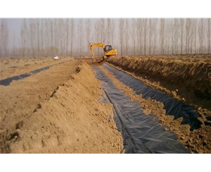 蓮藕種植防滲膜 厚度0.4毫米單價(jià)4.4元/平方