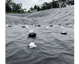 魚塘防滲膜0.5MM 單價(jià)5.5/平方